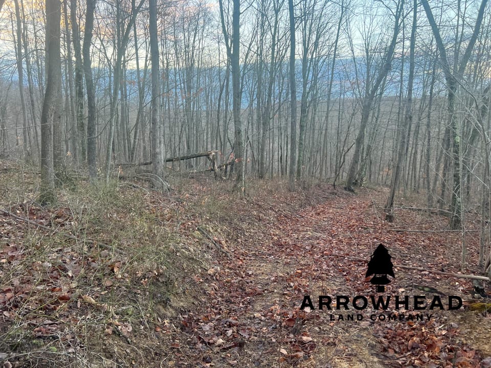 Beautiful Property in Big Buck Country With Possible Build Site.