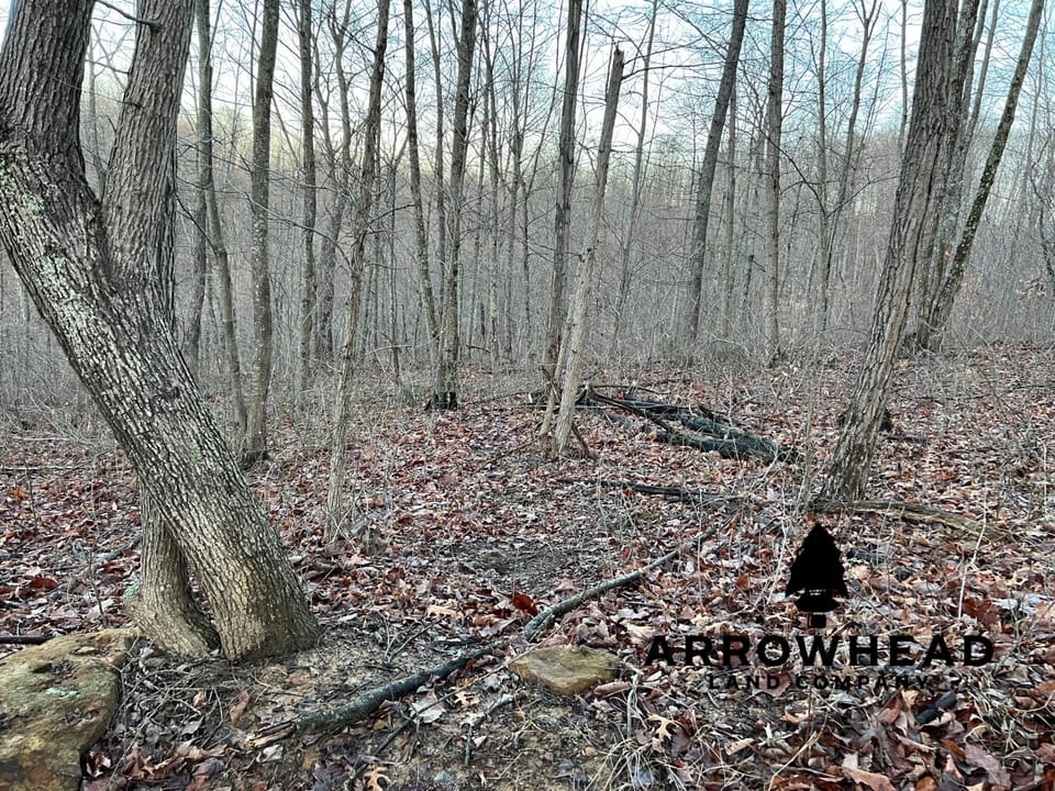 Beautiful Property in Big Buck Country With Possible Build Site.