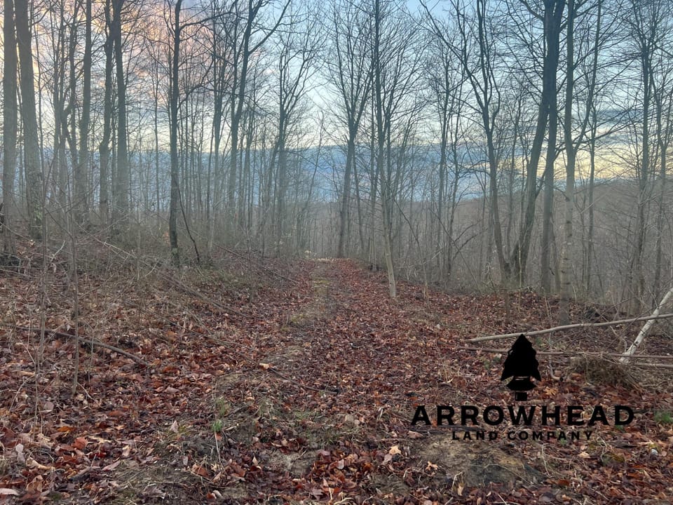 Beautiful Property in Big Buck Country With Possible Build Site.