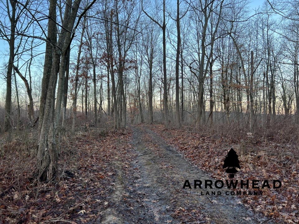 Beautiful Property in Big Buck Country With Possible Build Site.