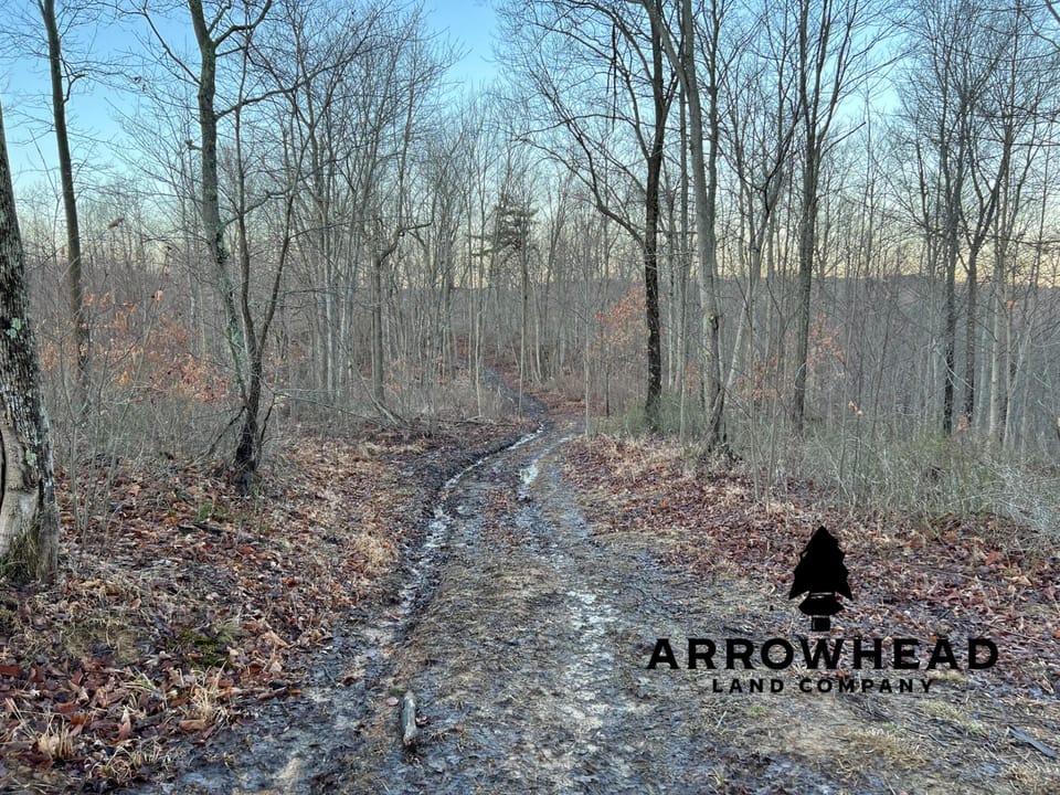 Beautiful Property in Big Buck Country With Possible Build Site.