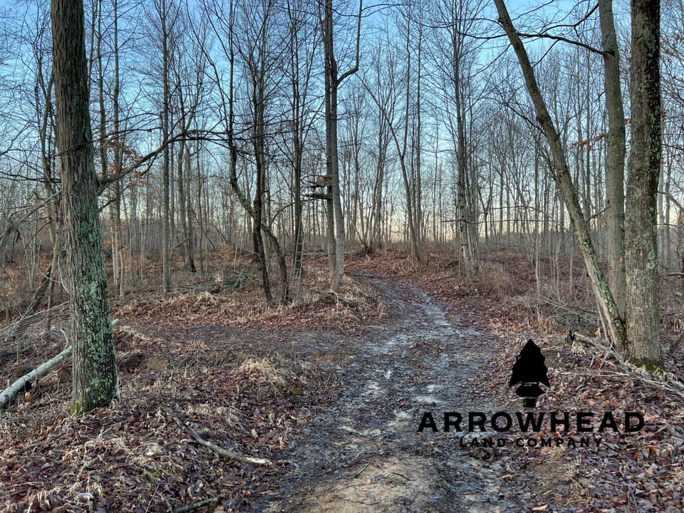 Beautiful Property in Big Buck Country With Possible Build Site.