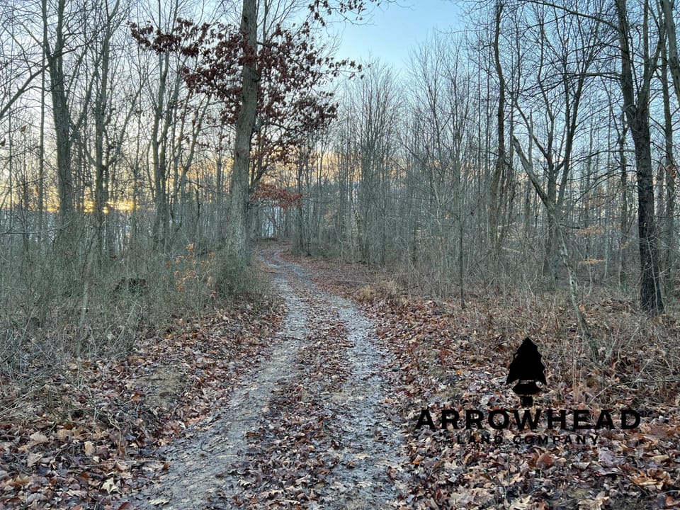 Beautiful Property in Big Buck Country With Possible Build Site.