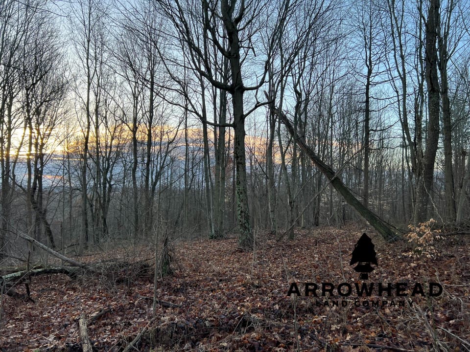 Beautiful Property in Big Buck Country With Possible Build Site.