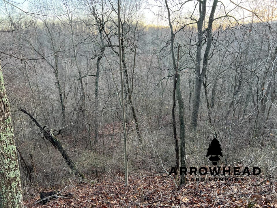 Beautiful Property in Big Buck Country With Possible Build Site.