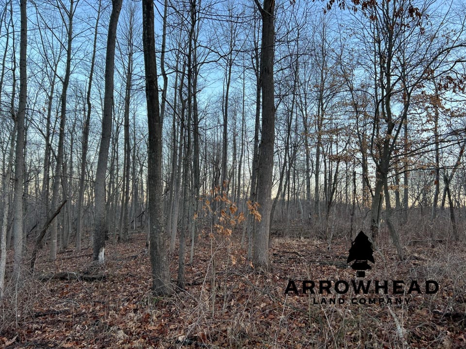Beautiful Property in Big Buck Country With Possible Build Site.