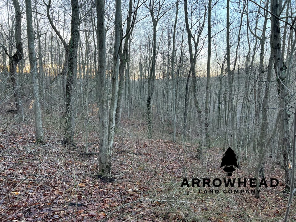 Beautiful Property in Big Buck Country With Possible Build Site.