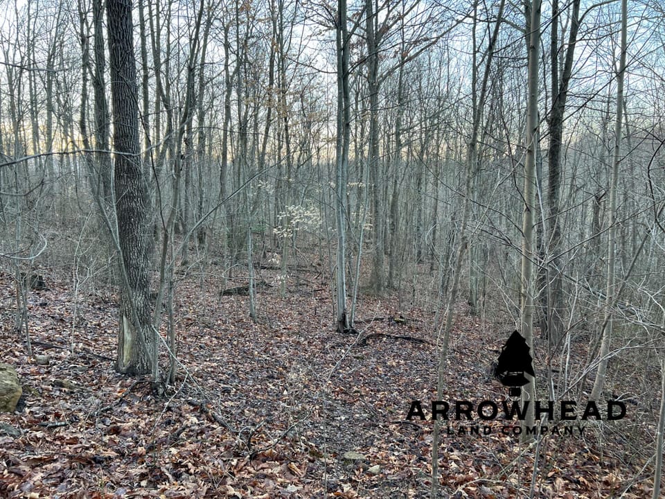 Beautiful Property in Big Buck Country With Possible Build Site.