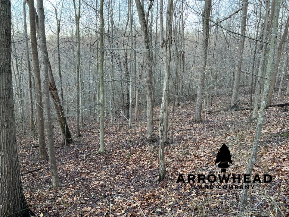 Beautiful Property in Big Buck Country With Possible Build Site.