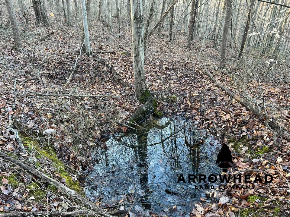 Beautiful Property in Big Buck Country With Possible Build Site.