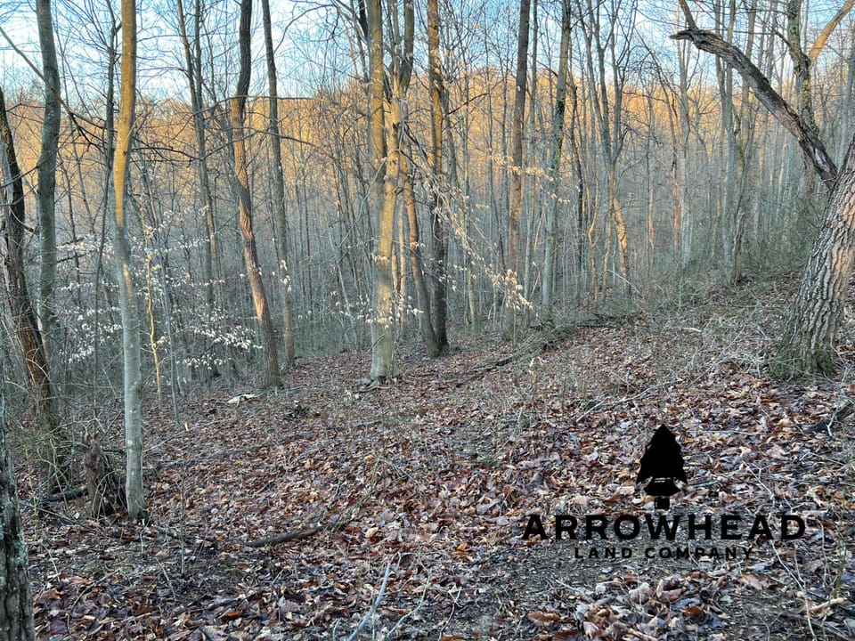 Beautiful Property in Big Buck Country With Possible Build Site.
