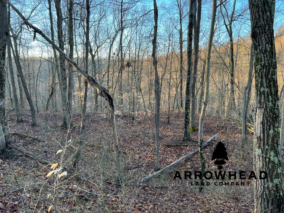Beautiful Property in Big Buck Country With Possible Build Site.