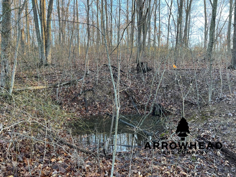 Beautiful Property in Big Buck Country With Possible Build Site.
