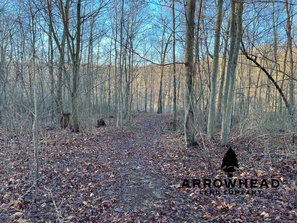 Beautiful Property in Big Buck Country With Possible Build Site.