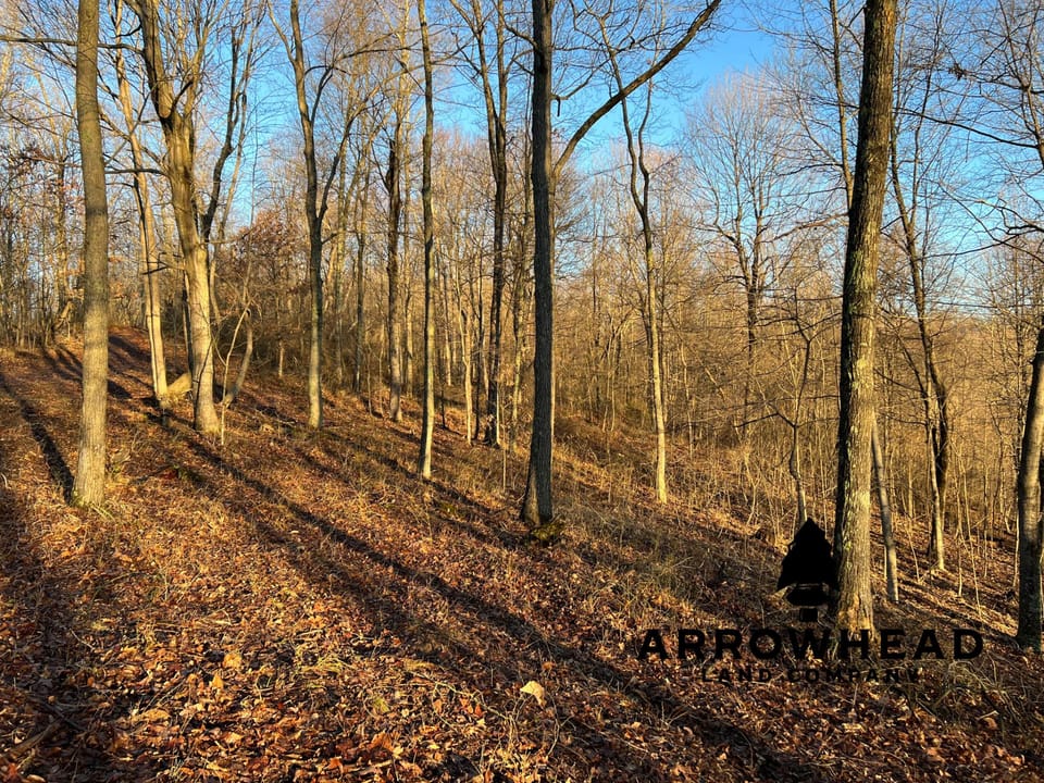 Beautiful Property in Big Buck Country With Possible Build Site.
