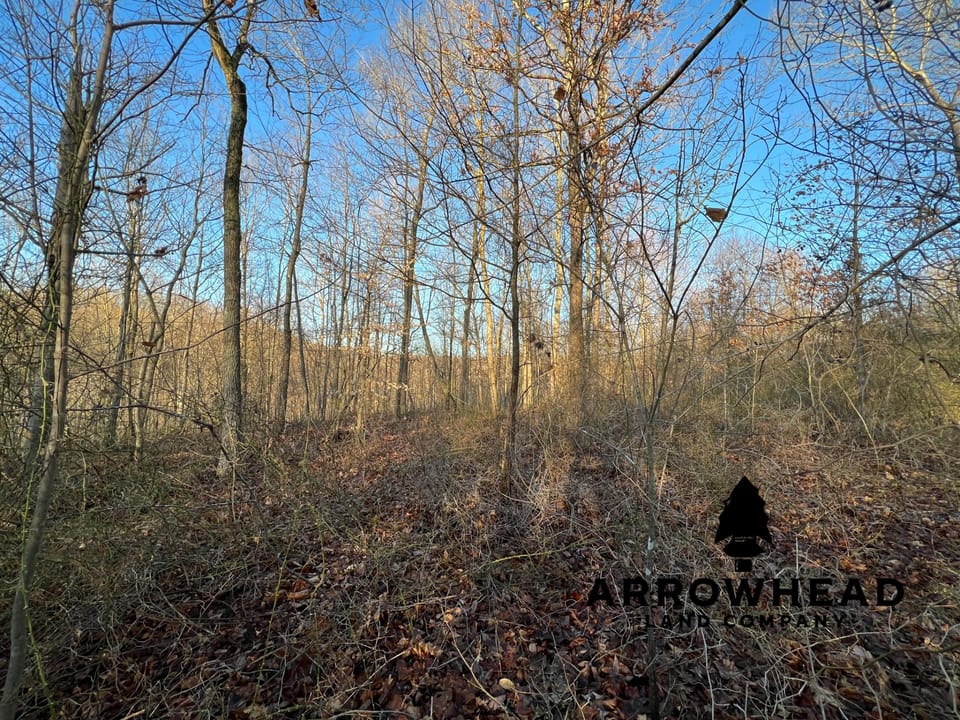 Beautiful Property in Big Buck Country With Possible Build Site.