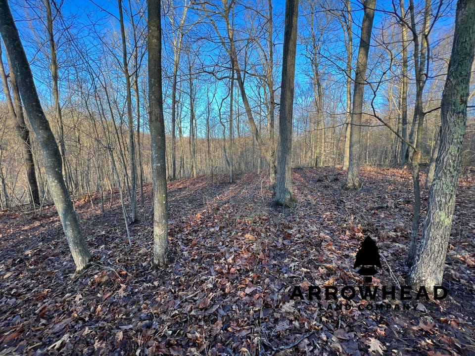 Beautiful Property in Big Buck Country With Possible Build Site.