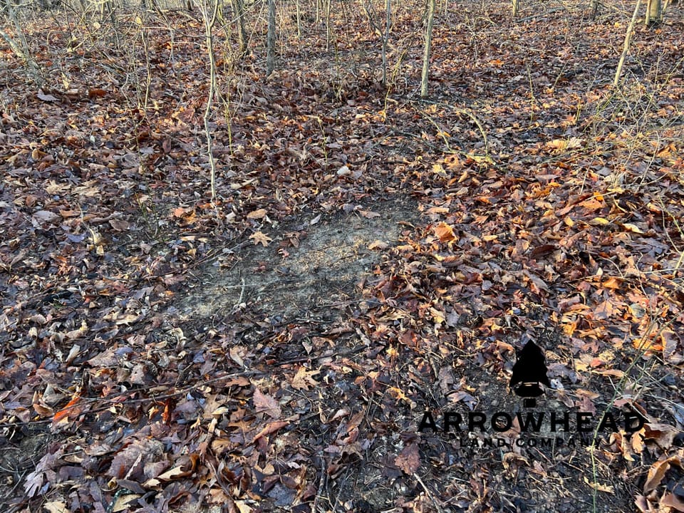 Beautiful Property in Big Buck Country With Possible Build Site.