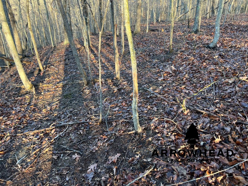 Beautiful Property in Big Buck Country With Possible Build Site.