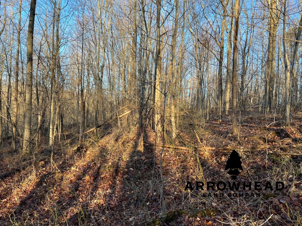 Beautiful Property in Big Buck Country With Possible Build Site.