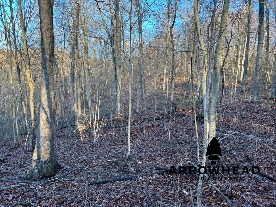 Beautiful Property in Big Buck Country With Possible Build Site.