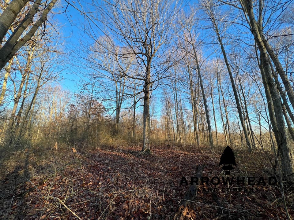 Beautiful Property in Big Buck Country With Possible Build Site.