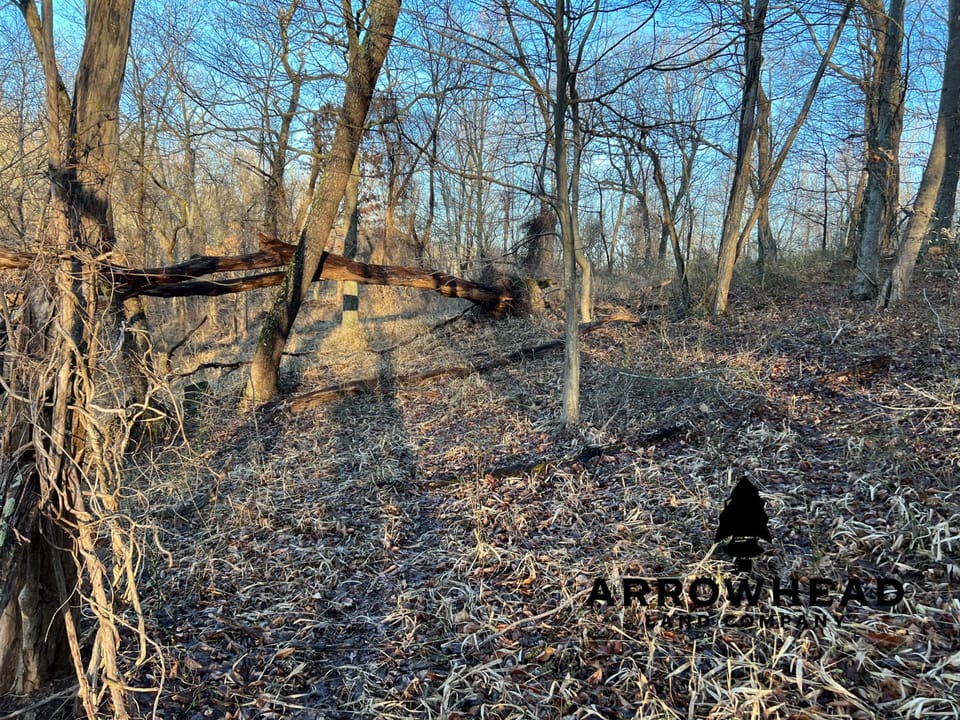 Beautiful Property in Big Buck Country With Possible Build Site.