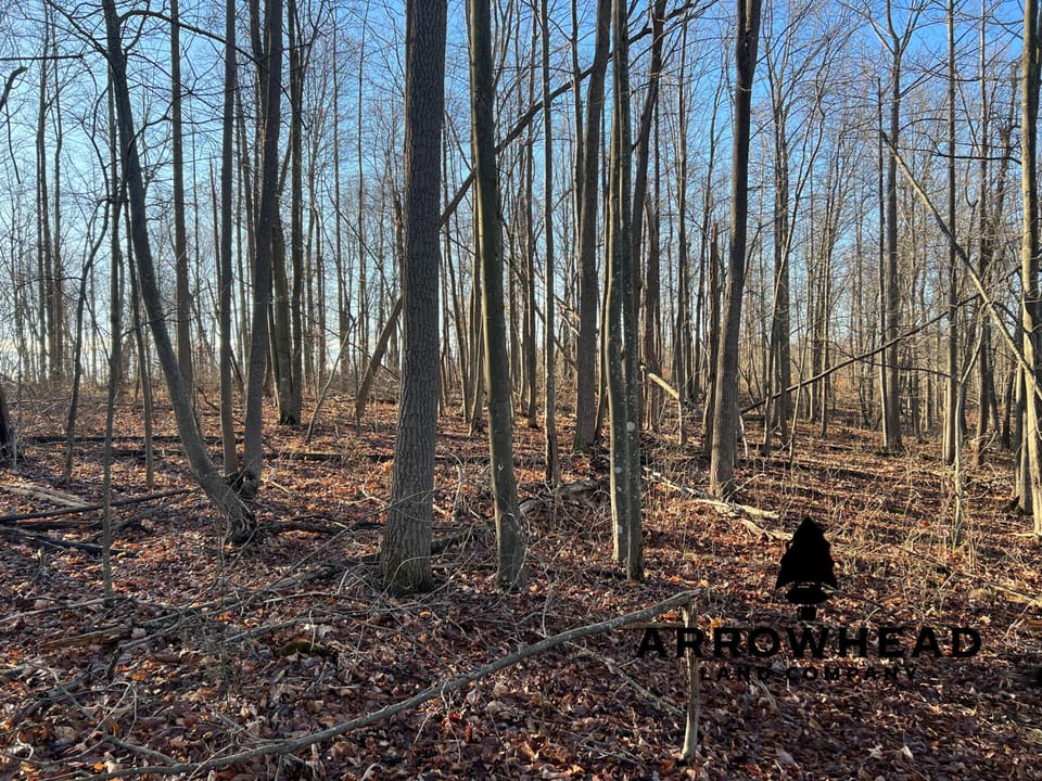 Beautiful Property in Big Buck Country With Possible Build Site.