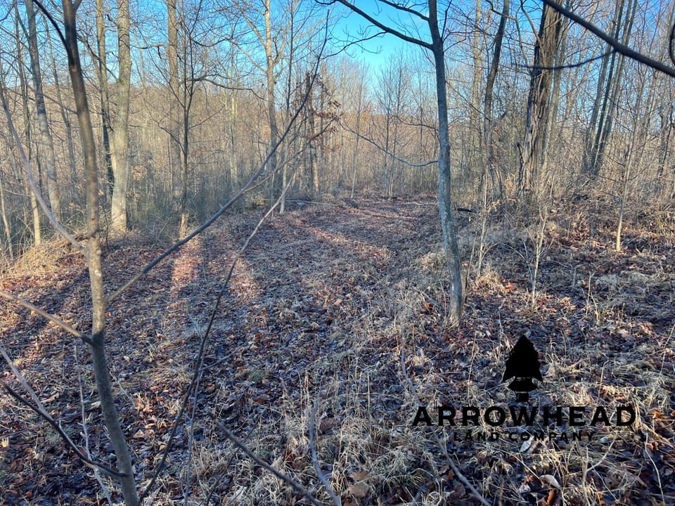 Beautiful Property in Big Buck Country With Possible Build Site.