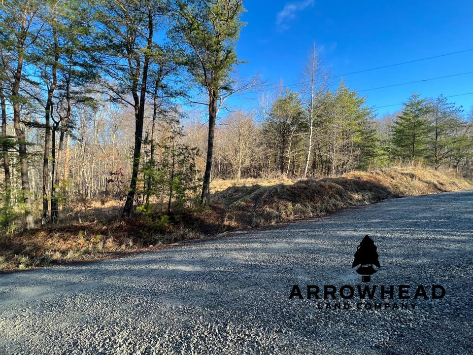 Beautiful Property in Big Buck Country With Possible Build Site.