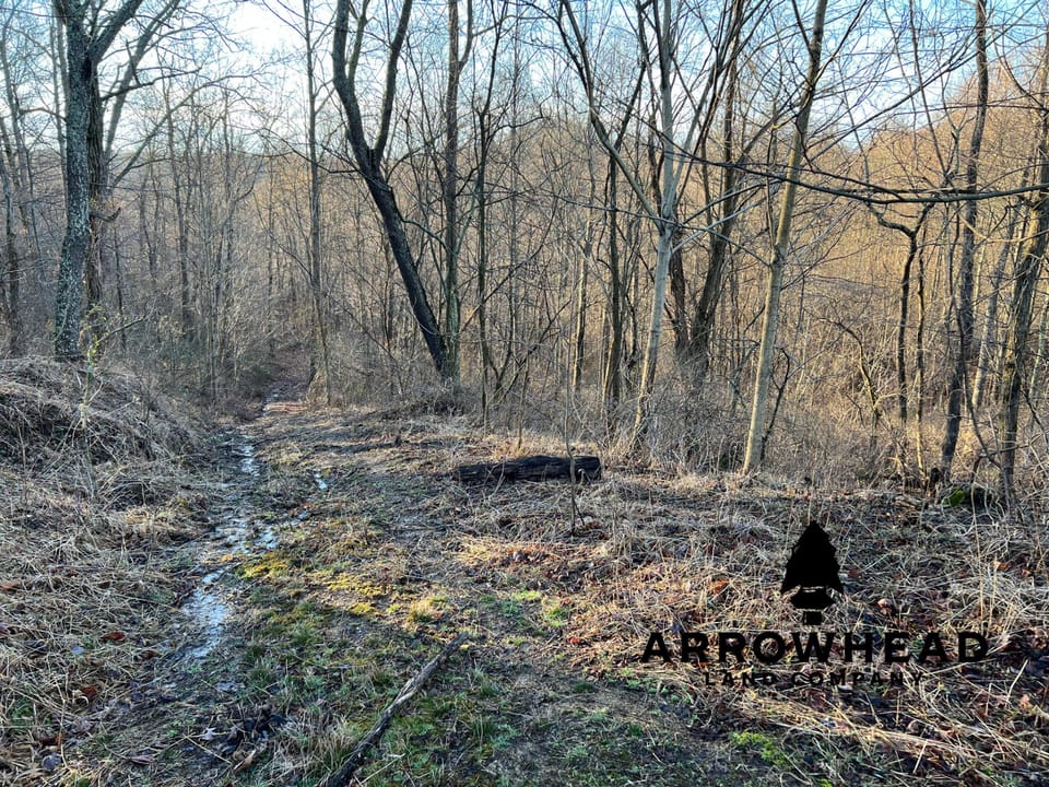 Beautiful Property in Big Buck Country With Possible Build Site.