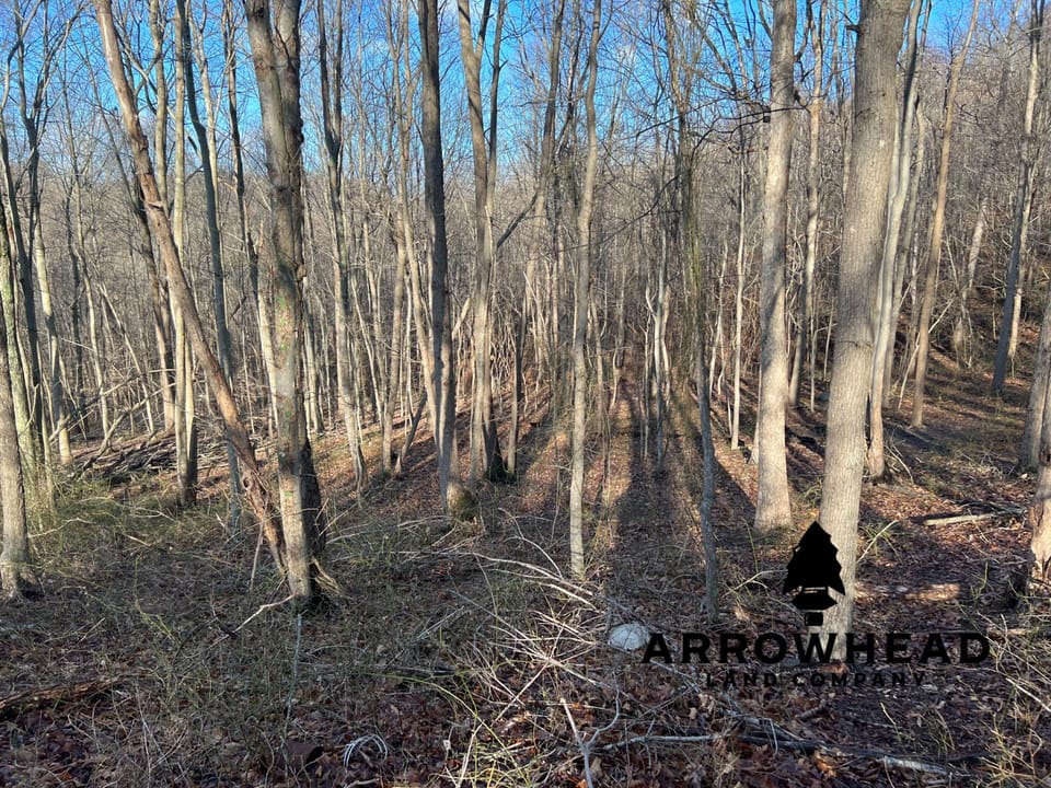 Beautiful Property in Big Buck Country With Possible Build Site.
