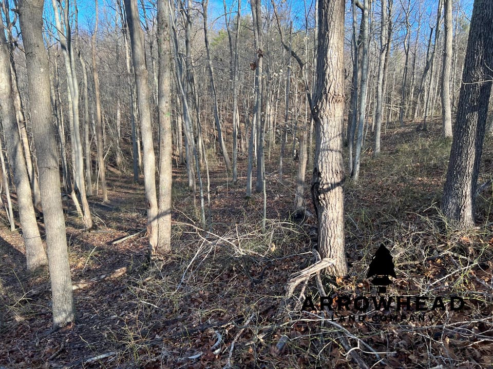 Beautiful Property in Big Buck Country With Possible Build Site.