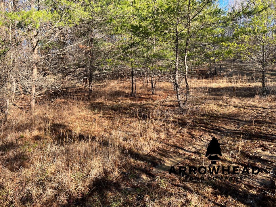 Beautiful Property in Big Buck Country With Possible Build Site.