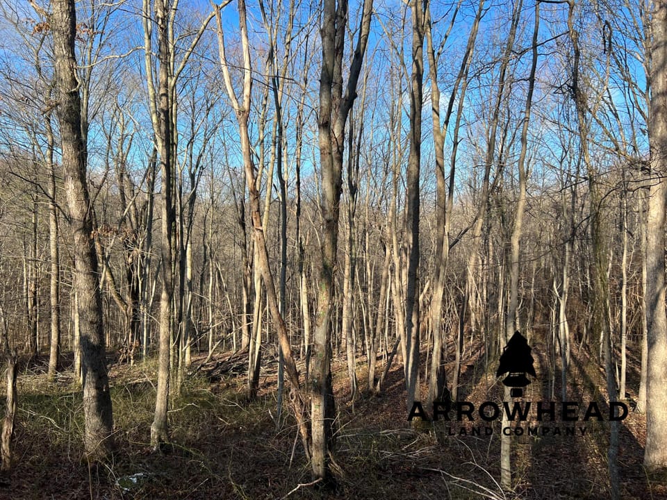 Beautiful Property in Big Buck Country With Possible Build Site.
