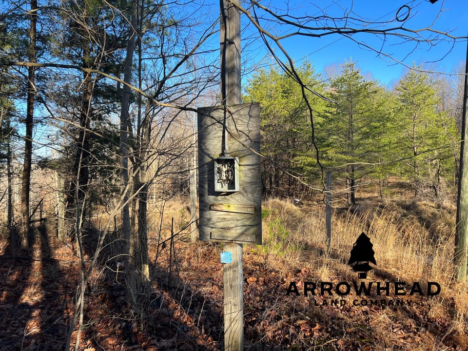 Beautiful Property in Big Buck Country With Possible Build Site.