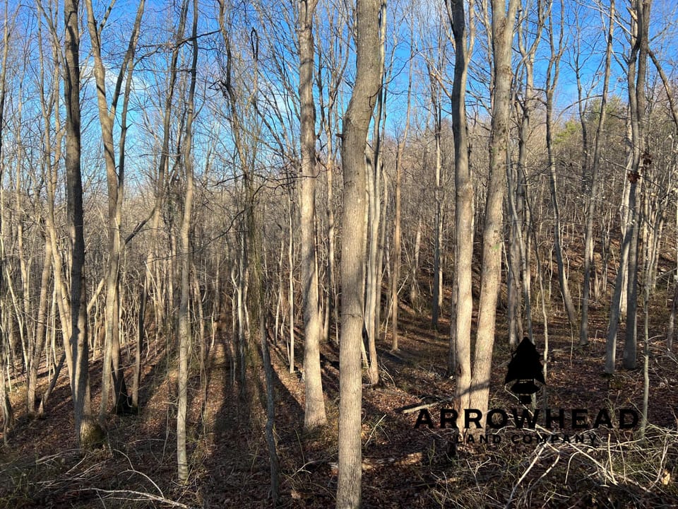 Beautiful Property in Big Buck Country With Possible Build Site.