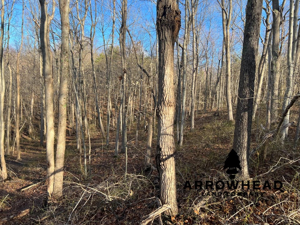 Beautiful Property in Big Buck Country With Possible Build Site.