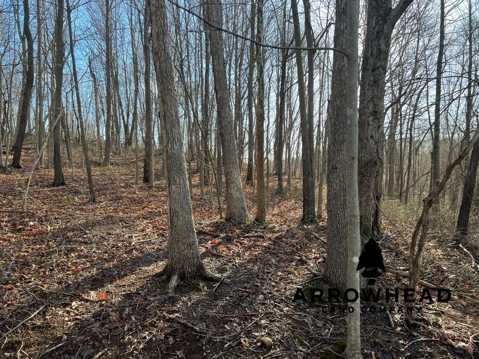 Beautiful Property in Big Buck Country With Possible Build Site.