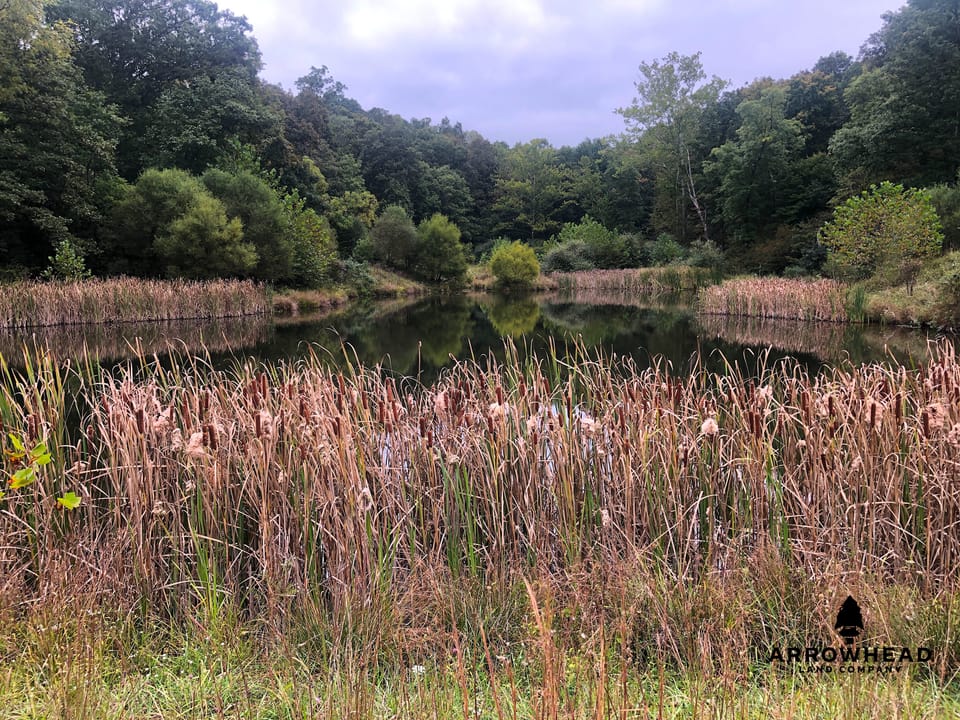 Big Run Creek