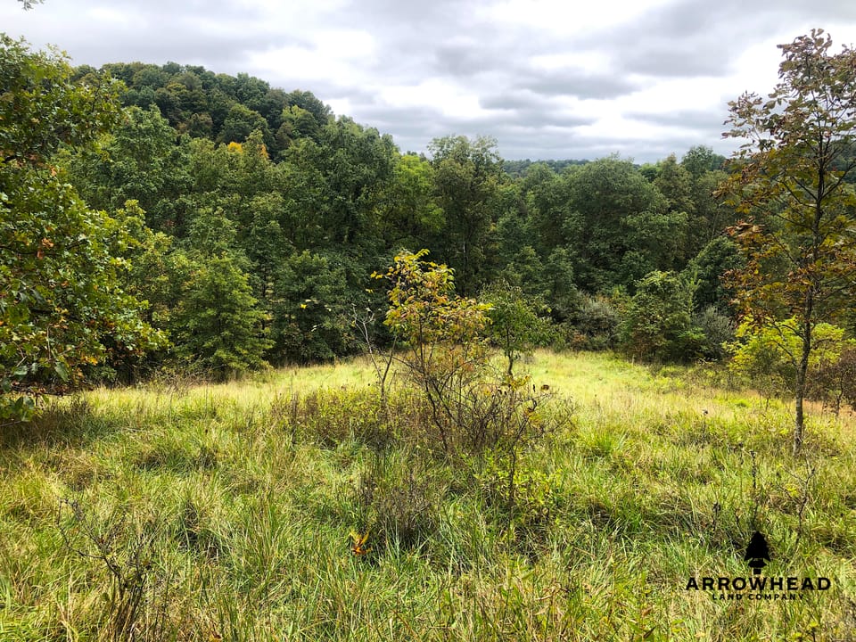 Big Run Creek