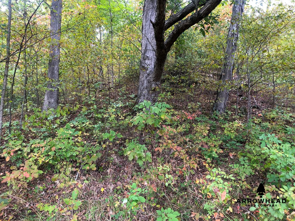 Big Run Creek