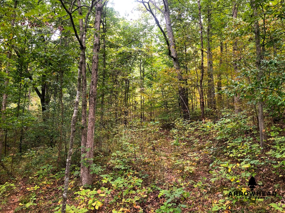 Big Run Creek