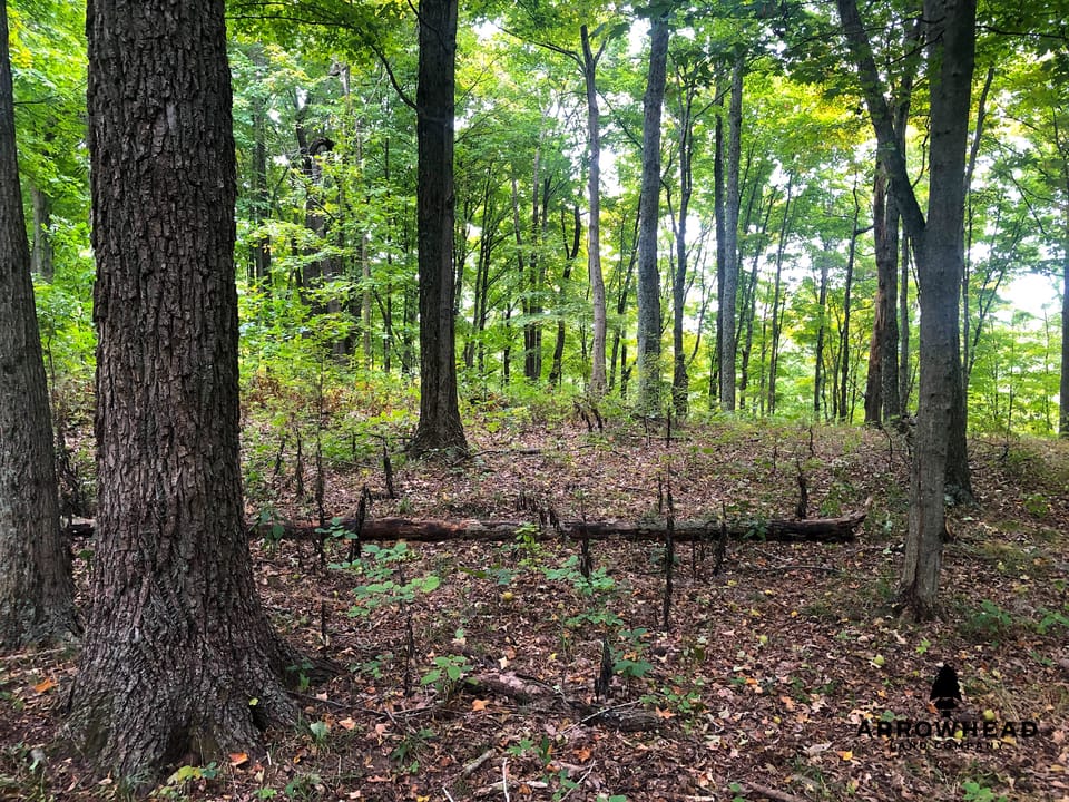 Big Run Creek