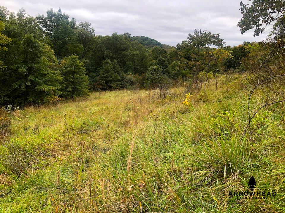 Big Run Creek