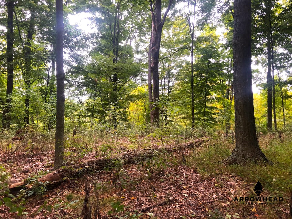 Big Run Creek