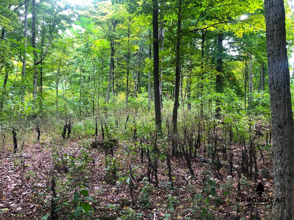 Big Run Creek