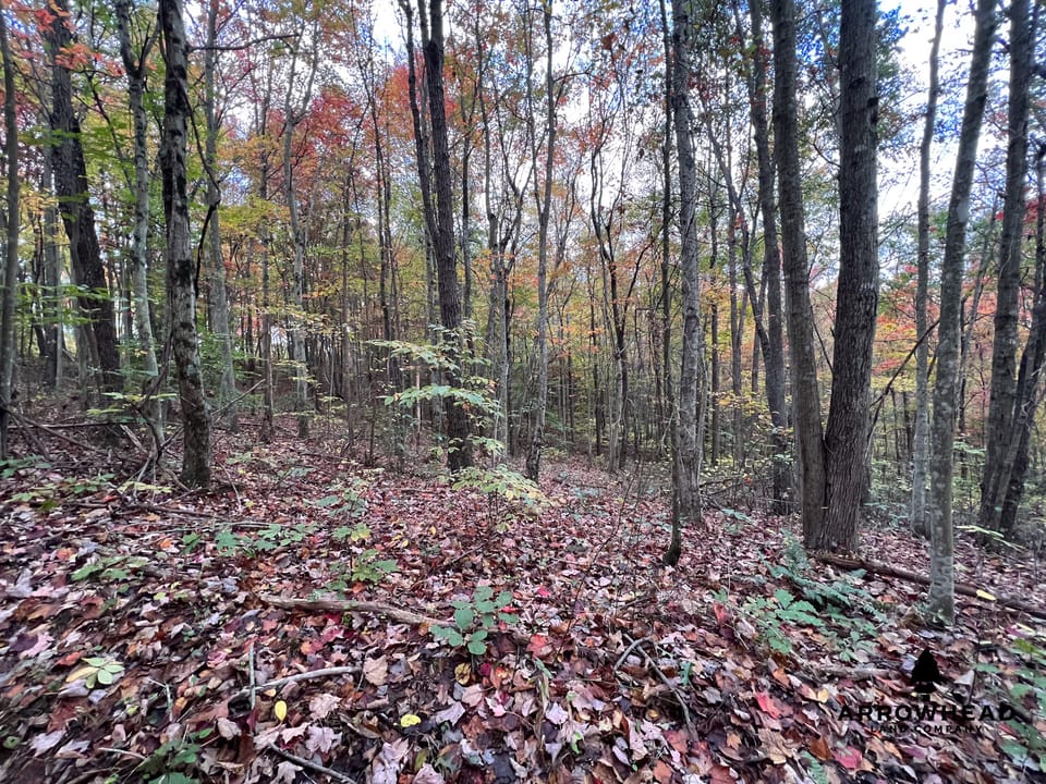 Beautiful Property in Big Buck Country With Possible Build Site.