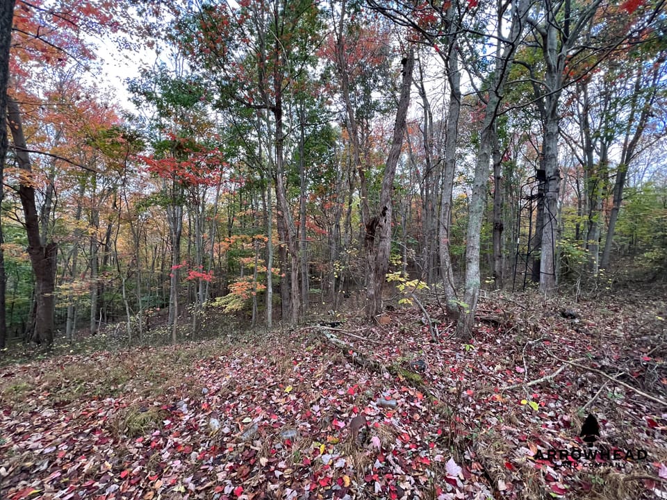Beautiful Property in Big Buck Country With Possible Build Site.