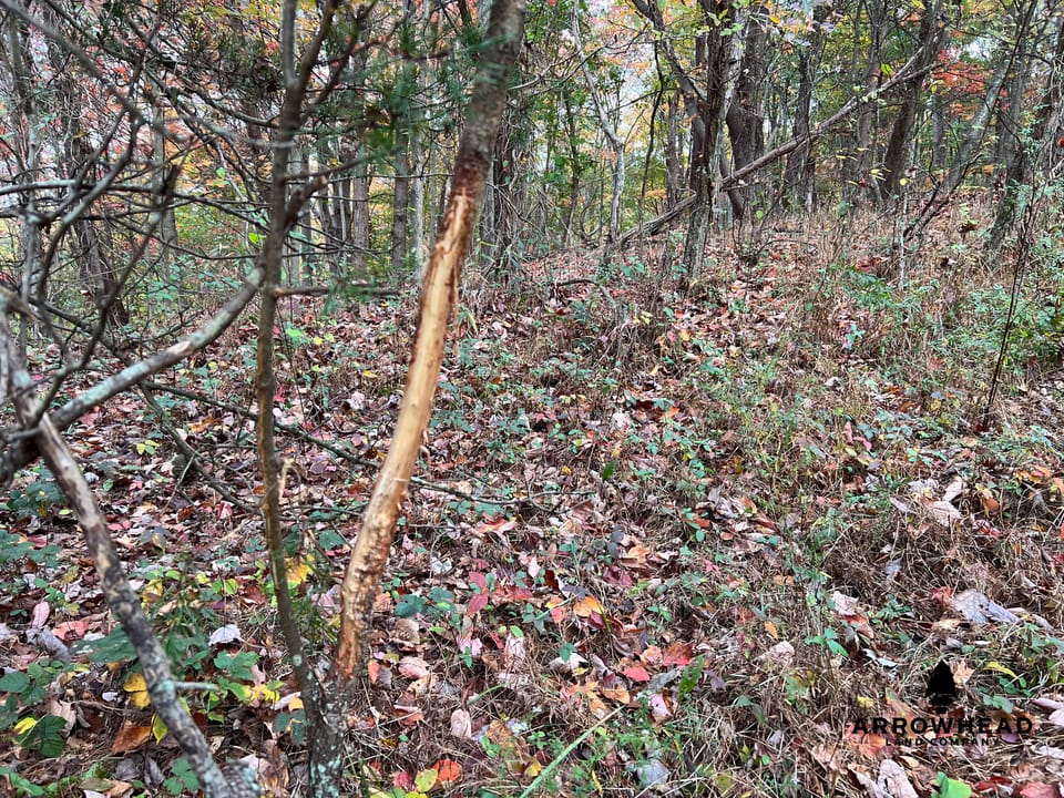 Beautiful Property in Big Buck Country With Possible Build Site.